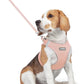 rabbitgoo Dog Harness Small Medium Sized and Leash Set, Step in Soft Light Puppy Vest, Breathable Mesh Pet Harness, Reflective for Safe Outdoor Walking, Pink L