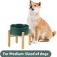 Ceramic Elevated Dog Bowl Set, Food and Water Bowl for Medium Dogs, Weighted Dishes, Green (7.3'', 41OZ)