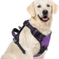 PUPTECK No Pull Dog Harness for Large, Adjustable Reflective Dog Harness with Handle Easy Control, Comfortable Soft Padded Pet Vest Harness for Extra Large Dogs, Solid Purple XL