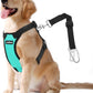 Dog Seat Belt, Safety Vest Dog Car Harness with Adjustable Buckle Dog Seat Belt for Vehicle Nylon Pet Safety Seat Belts Heavy Duty(XXL, Blue)