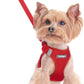 rabbitgoo Dog Harness Small Sized and Leash Set, Step in Soft Light Puppy Vest, Breathable Mesh Pet Harness, Reflective for Safe Easy Walking, Red XXS
