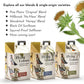 Flying Colors Premium Organic Wild Bird Seed | Squirrel-Proof Safflower Seed | 100% USDA Organic, No Fillers, No Pesticides | 3 Gallon Easy-Pour Carton