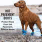 Canada Pooch Dog Boots for Hot Pavement - Dog Boots & Paw Protectors with Anti Slip Rubber | Water Friendly, Breathable Dog Shoes for Hot Days, Great for Dogs Neon Pink - Size 3