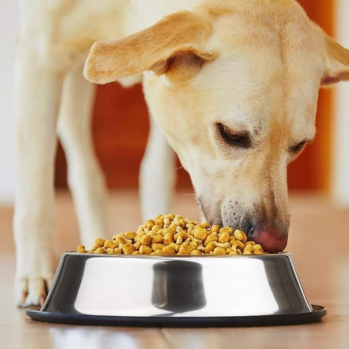Stainless Steel Dog Bowls, 3.5 Cup/28oz Cat Bowl Water and Food with Rubber Base, Pet Bowls for Large Dogs, 2Pack