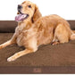 Large Dog Bed Orthopedic Washable - Beds Bolster - Extra Large Big Dogs - Waterproof with Removable Cover - Memory Foam Couch Sofa - Coffee Dog Bed