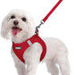 rabbitgoo Dog Harness Small Sized and Leash Set, Step in Soft Light Puppy Vest, Breathable Mesh Pet Harness, Reflective for Safe Easy Walking, Red M