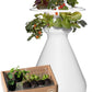Farmstand Starter Kit with Glow Rings and 12 Seedling Credits | Tiny Hydroponic Growing System Kit | Vertical Garden Planter Tower | 3ft 8in Tall