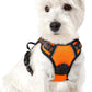 rabbitgoo Dog Harness No Pull with 2 Leash Clips, Adjustable Soft Padded, Reflective Oxford No Choke Pet Vest with Easy Control Handle for Puppy, Orange,XS
