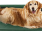 RRPETHOME Large Elevated Cooling Dog Bed, Raised Dog Cot Beds for Large Dogs, Elevated Outdoor Pet Bed, Chew Proof Portable Cooling Pet Cot with Skid-Resistant Feet and Breathable Mesh