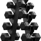 PAPABABE Hex Dumbbell Sets with Rack, 60-550lb Rubber Coated Dumbbell Weight Set and Storage Rack, Multiple Options Hand Weights for Strength Training