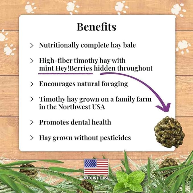 LAFEBER'S Berrie-Bale Mint for Guinea Pigs 1 lb