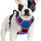 rabbitgoo Dog Harness No Pull with 2 Leash Clips, Adjustable Soft Padded, Reflective Oxford No Choke Pet Vest with Easy Control Handle for Large Dogs, Blue & Hot Pink, S