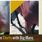 All Purpose Horse Skin & Wound Care 32oz | First Aid: for Girth Itch, Insect & Fly Bites, Crud, Itchy Manes & Tails & Hair Loss | Vet Approved & Recommended