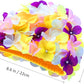 WINOMO Fashionable Swim Cap Floral Petal Stylish Swimming Hat Bathing Caps Size L for Women