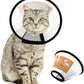 Plastic Pet Recovery Collars & Cones for Dogs and Cats After Surgery Adjustable Dog Neck Cone Surgical Elizabeth E-Collar Prevent Biting and Stop Licking Wound (XXXS)