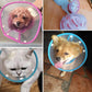 Pet Cone Recovery Dog Cone Adjustable Dog Collar Clear Padded Collar with Breathable Soft Edge, Plastic Puppy Cone Protect The Neck Surgery Recovery, Designed for Cats and Puppies (Medium, Blue)