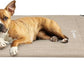 Veehoo Original Elevated Dog Cot - One-Sided Raised Headboard Cooling Pet Bed, Non-Slip & Breathable, L, CWC2417A