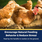 Pampered Chicken Mama Best Eggs Ever! Nesting Herbs for Chickens (4 Pounds) Calcium Supplement for Chickens | Chicken Feed Supplies, Hen Treats for Coops