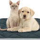 furrybaby Dog Crate Pad for Dog Cages Flat Crate Mat Kennel Pad with Anti-Slip Bottom Machine Washable for Pet Bed Sleeping (S 24x18'', Grey Mat)