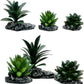 Smoothedo-Pets Reptile Artificial Plants Succulent Terrarium Decor Desert Rainforest Plant Lizard Beard Chameleon Gecko Snake Amphibious Sea Turtle Tank Accessory (Dark-Green-3pcs-Se)