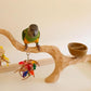Deluxe Tabletop Perfect Tree (with Bowl) - Tree Stand for Parakeets and Small Parrots