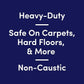 Bioesque Advanced Stain + Odor Remover, Pet-Friendly Natural Enzymatic & Bacterial Formula, Heavy-Duty Stain & Odor Remover, Safe on Carpets, Hard Floors, & More, 32 Fl Oz (Pack of 1)