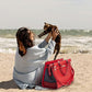 Fashion Pet Carrier Dog Cat Carrier Purse Soft-Sided Leather Handbag Pet Tote Bag for Small Dogs Puppy and Cats TSA Airline Approved (Red)