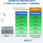 BioTrust Collagen Powder with Turmeric – 5 Types (I, II, III, V, X) – Turmeric Collagen Powder for Women & Men – Hydrolyzed Protein – Grass Fed Beef, Fish, Chicken, Eggshell Membrane (Golden Milk)