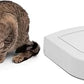 PetSafe Automatic Dog Feeder, 5 Meals, 40 oz Capacity, Plastic, for Dry Food, Multiple Pets (Pack of 2)