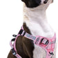 PUPTECK No Pull Dog Harness Small Sized, Adjustable Reflective Dog Harness with Handle Easy Control, Comfortable Soft Padded Pet Vest Harness for Small Dogs, Plaid Pink S