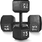 WF Athletic Supply Cast Iron Solid Hexagon Gray/Black Dumbbells, Strength Training Free Weights Set of 2 for Women and Men, Hand Weights Sold by Pairs, Multi-Select Size Options Available