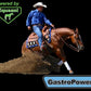 GastroPower Digestible Free Fatty Acid Feed Concentrate for Horses