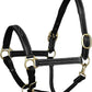 Exion Leather Horse Halter with Fancy Stitching | Black & Brown Padded Halter with Brass Hardware | Quick-Release Snap | Adjustable Leather Halter – Cob, Full, Over, Pony Sizes