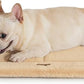 Made4Pets Dog Crate Pad Bed for Medium Dogs, Washable & Reversible, Anti-Slip Kennel Mat for Cozy Sleeping, Soft Fluffy Dog Bed for Indoor & Outdoor Use, 29"x21", Khaki