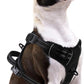 PUPTECK No Pull Dog Harness Small Sized, Adjustable Reflective Dog Harness with Handle Easy Control, Comfortable Soft Padded Pet Vest Harness for Small Dogs, Black S