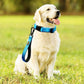 PLUTUS PET 10” Short Dog Leash, Reflective Nylon Padded Handle, Strong Traffic Leash with Carabiner Clip, Perfect for Large or Medium Dogs（10”，Blue