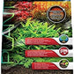 Fluval 12694 Plant and Shrimp Stratum for Freshwater Fish Tanks, 8.8 lbs. – Aquarium Substrate for Strong Plant Growth, Supports Neutral to Slightly Acidic pH