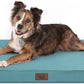 Orthopedic Dog Bed for Large Dogs, Big Waterproof Washable Dog Bed for Large Sized Dogs with Egg Crate Foam Pet Bed Mat, Removable Oxford Cooling Cover, Light Blue