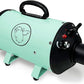 Flying Pig High Velocity Dog Pet Grooming Dryer w/Heater (Flying One, Mint w/Grey Logo)