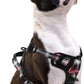 PUPTECK No Pull Dog Harness Small Sized, Adjustable Reflective Dog Harness with Handle Easy Control, Comfortable Soft Padded Pet Vest Harness for Small Dogs, Plaid Black S