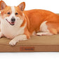 Chew Proof Dog Bed, 3" Memory Foam Dog Bed for Medium and Large Dogs, Removable and Washable Microsuede Cover, Waterproof Liner, Nonskid Bottom, 41x27 Inches XL Khaki