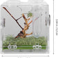 balacoo 8 Sets Jumping Spider Enclosure: Spider Cage Habitat Jumping Terrarium Micro Scorpion Droppers Reptile Hide Clear Enclosure Breeding Box Case with Breeding Tweezers