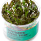 Ultum Nature Systems Cryptocoryne Wendtii Brown Tissue Culture Live Plant for Aquarium, Aquascape, Freshwater Fish Tanks - 100% Snail Free in Vitro