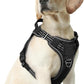 rabbitgoo Dog Harness Medium Sized No Pull, Tactical Service Pet Vest with Molle and Control Handle, Adjustable and Reflective Military Harness for Easy Walking and Training, Black, M