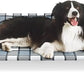 Elevated Raised Dog Bed Cot - Cooling Raised Dog Bed with Bolster Portable Washable Pet Hammock with Pillows & Metal Frame for Indoor & Outdoor, Large