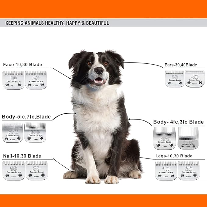6Pack 10Blades Dog Grooming Replacement Blades Compatible with Andis Pet Clipper/Oster A5/Wahl KM Series Dog Clipper,Ceramic Blade & Stainless Steel Blade (#10+30+5FC+7FC+3FC+4F)