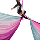DASKING Aerial Silks Starter Kit - Durable 11Yards of Aerial Yoga Hammock with Hardware, Aerial Swing for Acrobatic Flying Yoga & All Levels (Aerial Rigging Point Up to 14ft)