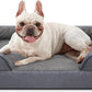 INVENHO Orthopedic Dog Bed Medium Size Dog, Waterproof Egg-Crate Foam Couch with Washable Removable Cover, Waterproof Lining and Nonskid Bottom