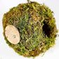 Coconut Hamster Hideout Hamster House Gerbil Cage for Small Animals with a Bundle of Apple Sticks a Carrot (Yellow)