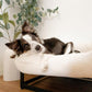 FUZI Luxury Aesthetic Dog Bed for Large Dogs with Washable Cover, Pet Couch, Pet Bed with Sides, Non-Slip Bottom, Soft and Durable Calming Dog Bed, Faux Rabbit Fur, Large 35.6x28.5x9.5 Soft White